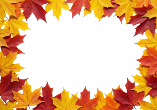 Photorealistic vibrant autumn maple leaves in red, orange, yellow on a transparent background, flat lay border composition with central copy space, inviting seasonal marketing concept