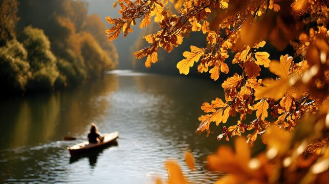 Kayaking peacefully through autumn leaves - Powered by Adobe