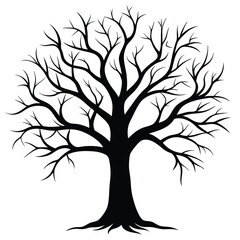 Silhouette of Deciduous Tree with Bare Branches, Showing Trunk and Roots on a White Background