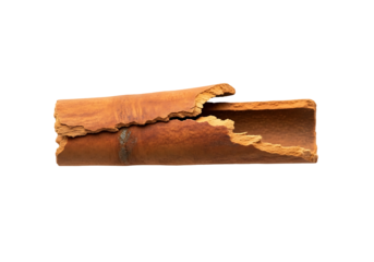 A broken cinnamon stick, rich in warm auburn tones, is displayed against a stark black backdrop.
