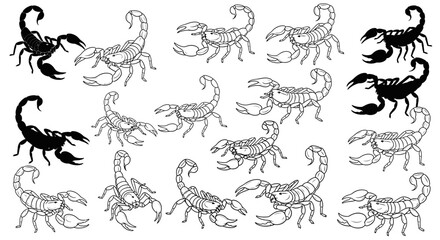 Dynamic scorpion illustrations, both solid black and detailed line art, perfect for graphic design projects.