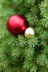 L'esprit de Noël