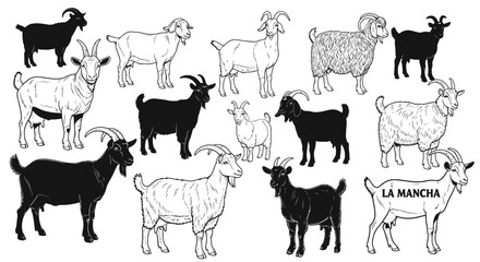 Diverse collection of playful goats in black and white, perfect for farm or ranch branding