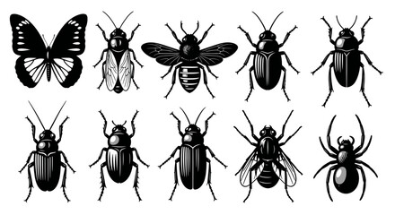 Diverse insect collection featuring a butterfly, bee, beetle, fly, and spider in striking black silhouettes