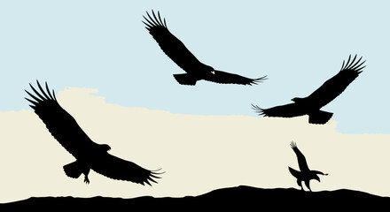 Majestic eagles soar freely across a serene sky at dawn, embodying freedom and power.
