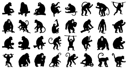 Collection of diverse monkey silhouettes in various poses.