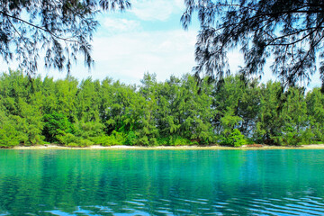 Serene Tropical Waterfront with Clear Water and blue sky