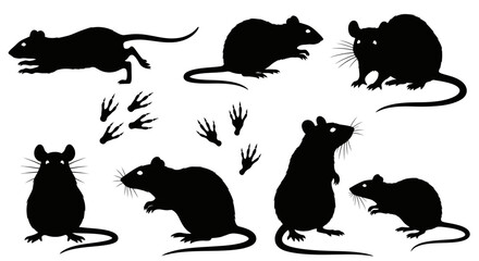 Dynamic collection of black rat silhouettes in various poses with paw prints for diverse design needs © Avoxel