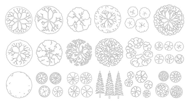 A collection of tree plan view drawings, showing various tree types and sizes, rendered in a simple line style on a white background.