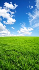 Lush green field under a vibrant blue sky