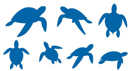 Graceful blue sea turtles swim in various poses, conveying freedom and ocean life