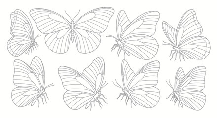 Elegant line art collection of butterflies in various poses showcasing delicate wing patterns and graceful flight
