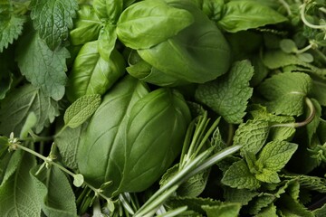 Different fresh green herbs as background, top view