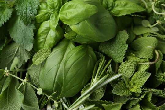 Different fresh green herbs as background, top view - Powered by Adobe