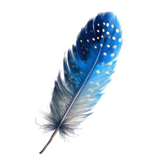Obraz na płótnie Canvas Blue Spotted Feather, isolated on transparent background