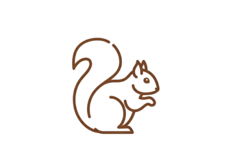 A simple, outline illustration of a squirrel against a black background.