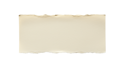 Light beige, fibrous paper with naturally torn ragged edges, subtle organic creases, pristine on a stark white background with ample negative space, authentic blank slate concept for design