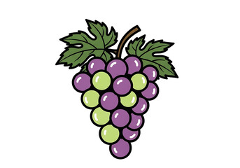 A cluster of purple and green grapes, outlined in a simple style, is set against a black background.