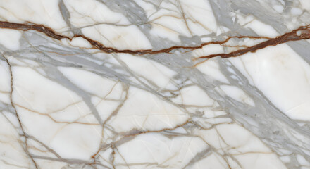 grey and white marble with brown/gold crackle veins, rich natural stone, polished slab for luxurious countertops, dramatic feature walls, and opulent interior design

