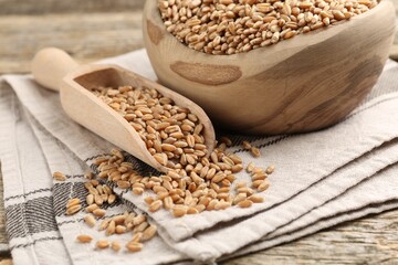 Wheat grains in bowl and scoop on wooden table, closeup