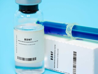 Brain-derived neurotrophic factor (BDNF)