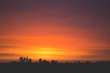 Spectacular sunset with vibrant orange sky over silhouetted trees for a stunning landscape design element