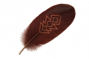 Brown feather displaying intricate tribal pattern, symbolizing indigenous artistry against transparent backdrop