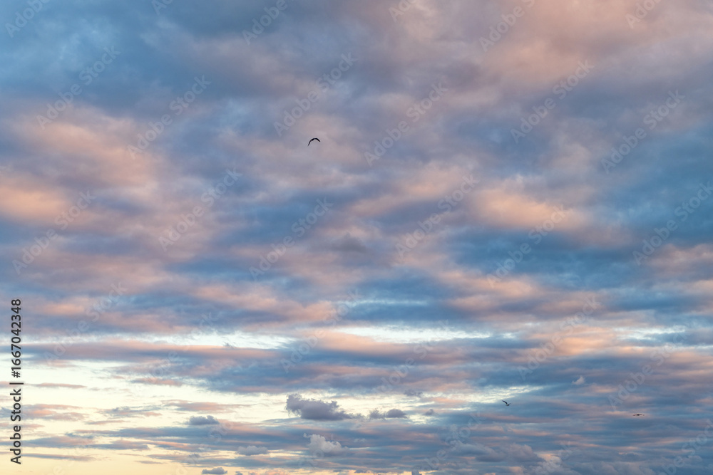 Canvas Prints cloudy sky view. cloud drifting. cloudy atmospheric backdrop. morning sky with cloud. sky and cloud 