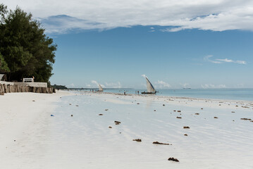 A sandy beach with a sailboat seen in the distance in Zanzibar.