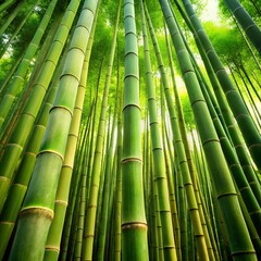 Fototapeta premium Towering green bamboo stalks reaching towards the sunlit sky in a dense forest