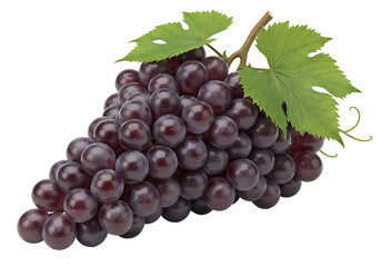 Fototapeta premium A close-up view of a bunch of plump, dark purple grapes with vibrant green leaves, set against a stark black backdrop.