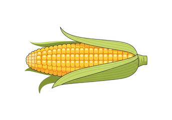 A vibrant illustration of a corn cob, showcasing its yellow kernels nestled within its green husk against a black backdrop.