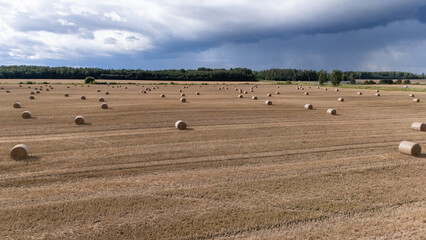 Obraz premium Golden hay bales scattered across harvested fields