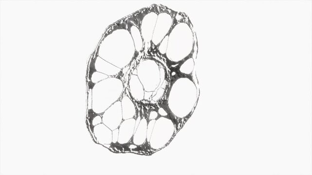 metal chrome aluminum splash drops on white bg