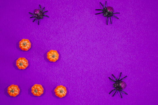 Halloween Pumpkins and Spiders Decoration on Purple Background