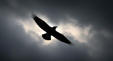 Fototapeta premium A large black bird, a raven or crow, is silhouetted against a dramatic and moody overcast sky with its wings spread wide in flight.