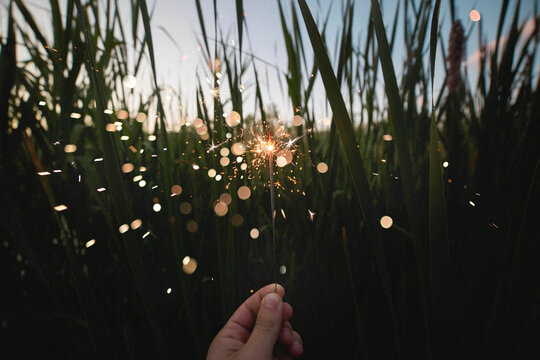 Hand holding sparkler amidst tall grass, creating a magical, celebratory atmosphere with bokeh lights