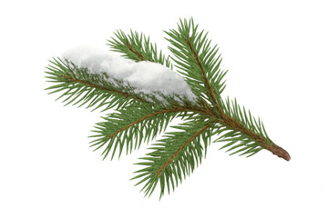 Christmas fir tree branch covered with snow on transparent background