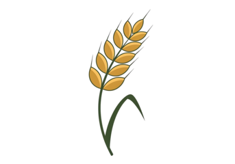 A stylized illustration of a wheat ear against a dark background.