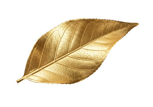 A detailed close-up shot of a richly textured gold leaf, highlighting intricate vein patterns against a stark black background.