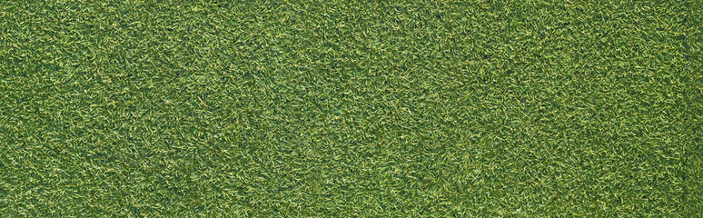 Artificial grass texture with rough surface, panoramic view © MaraCandelaria