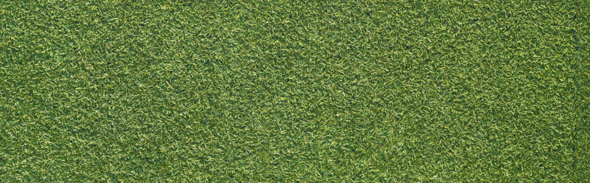 Artificial grass texture with rough surface, panoramic view