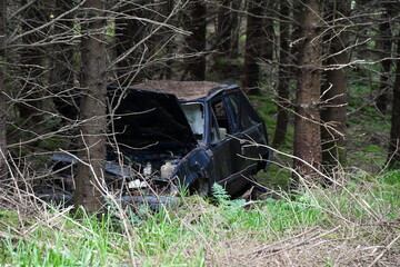 Car lost in the Woods. Brandon Hill, Co. Kilkenny, Ireland