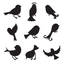  Birds silhouettes isolated on white. Set of hand drawn cartoon birds