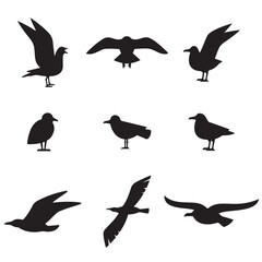 Obraz premium Seagull silhouette set isolated on white background vector. Set flying seagull