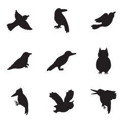 Vector set of cartoon style hand drawn flat funny cuckoos, woodpeckers, owls, raven, wren silhouettes.