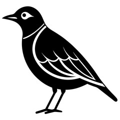 Fototapeta premium Silhouette of an eastern meadowlark bird in black vector art
