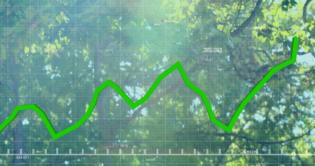 Displaying bright green jagged line over translucent grid on tree canopy with labels and tick marks