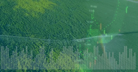 Fotobehang Luchtfoto Showing dense forest canopy intersecting utility line from above with digital financial overlays  © vectorfusionart