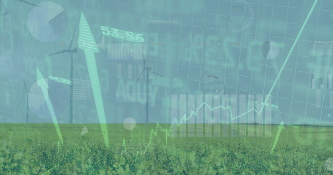 Merging wind turbines rising over yellow crop field on farm with financial charts, green arrows - Powered by Adobe